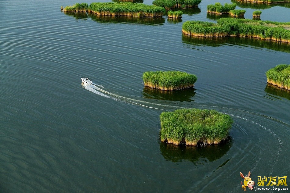 博斯腾湖.jpg